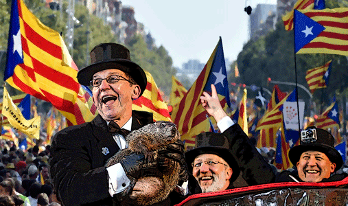 21D. Votad, votad, malditos. No es el día de la marmota
